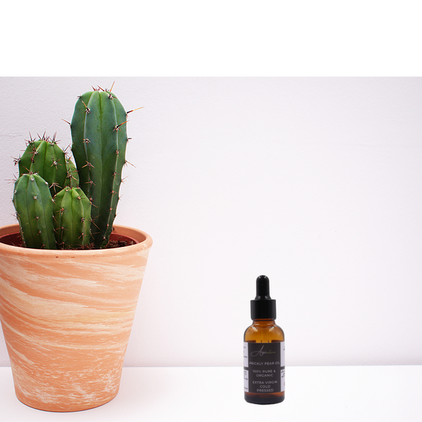 100% Pure Prickly Pear Oil / 30ml